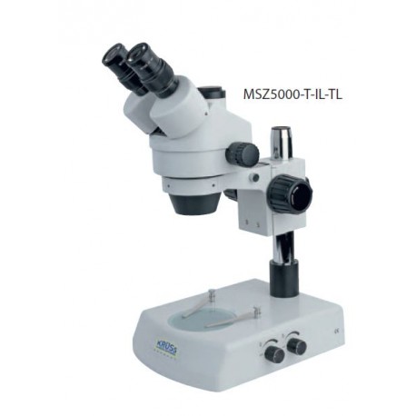Microscope MBL2000 (40 x 1000x)