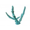 Petit corail