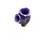 Tunicate artificiel