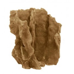 Corail crête