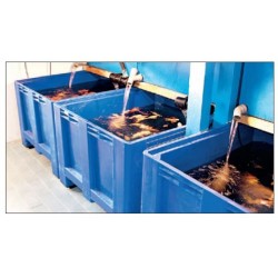 Cajas palet viveros aquaculturefrance