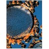 AQUATECTOR® - Mikrofloat®