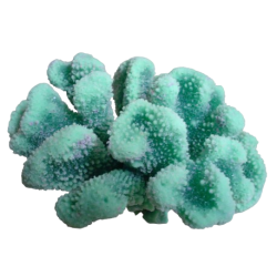 Décorations artificiels pour aquariums