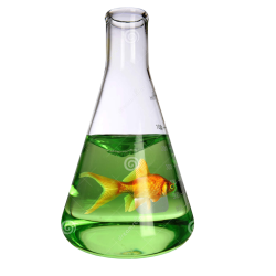Traitement d'eau pour étangs