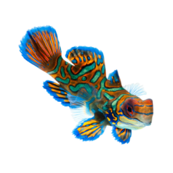 Acuario de investigación – Sistema experimental para el estudio de organismos acuáticos