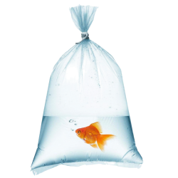 Bolsa de transporte para peces y alevines