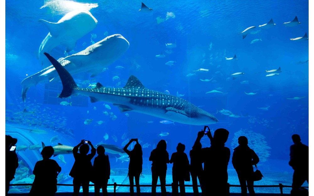 L'aquariologie moderne